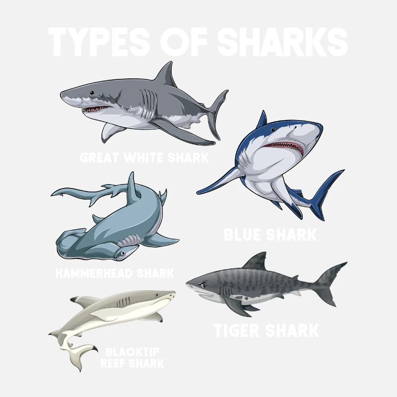 Types de requins