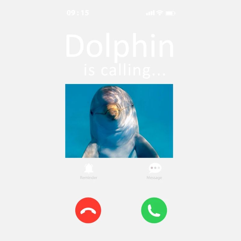 Dolphin Phone Display Dolphin Est