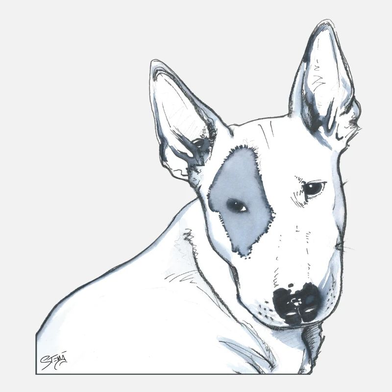 Bull Terrier
