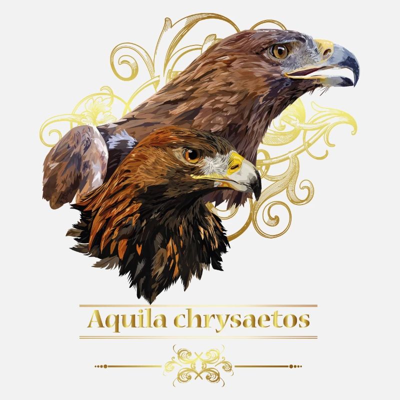 Aigle royal