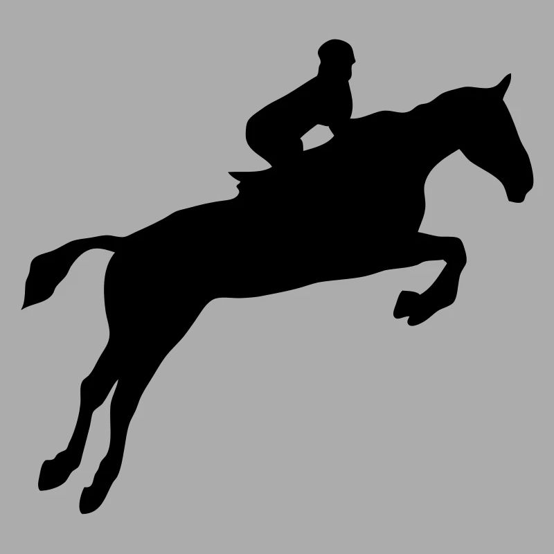 equitation cavalier obstacle cheval saut