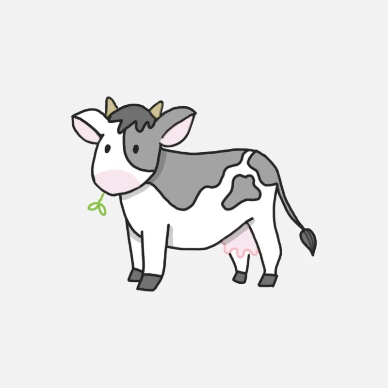Vache