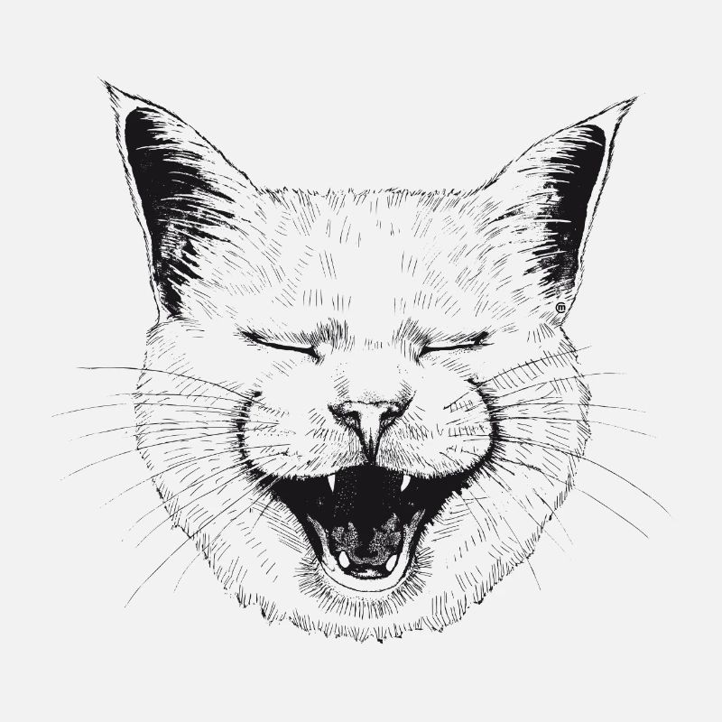 LOL Cat