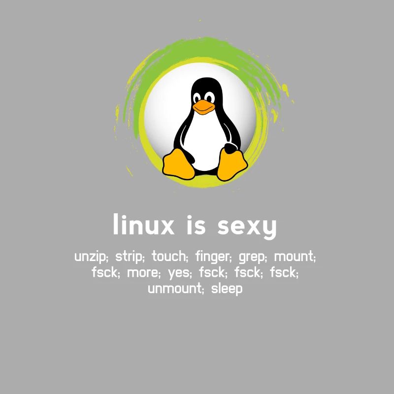 Computer System Pinguin Nerd pc inside code admin