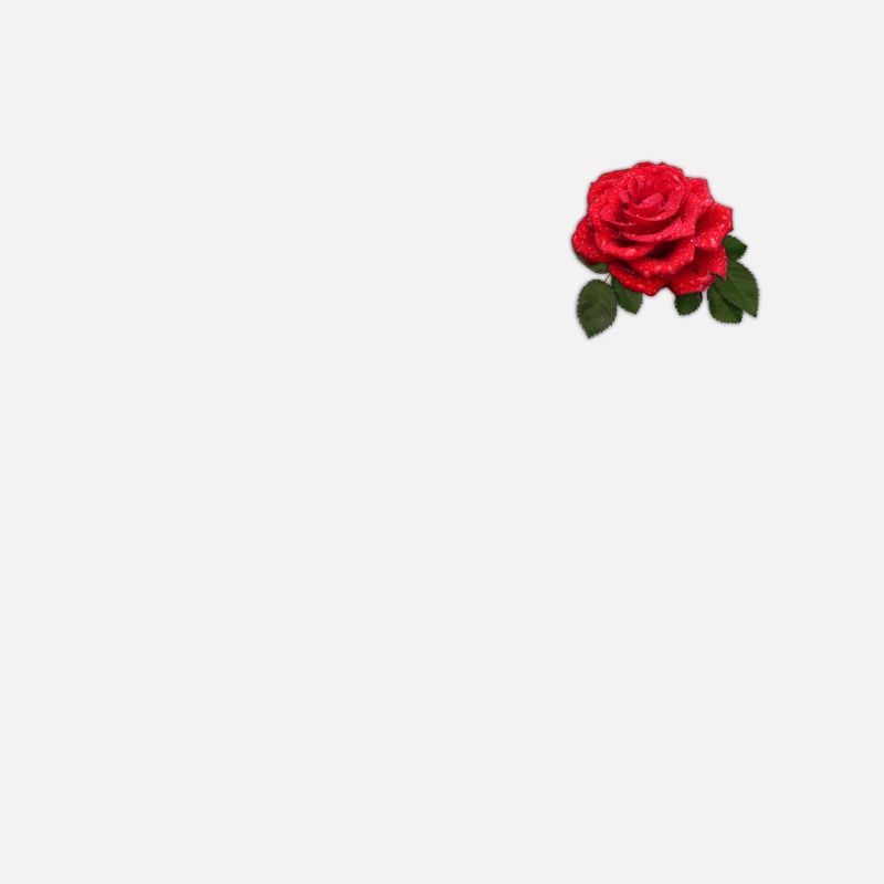 Rote Rosen-Design-Geschenkidee
