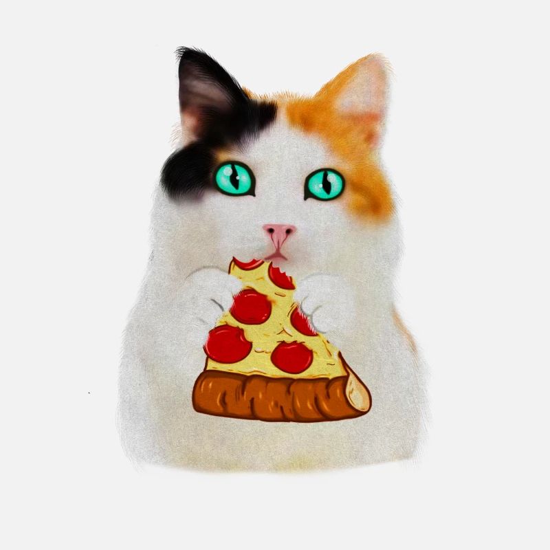 Chat mangeant de la pizza, amateur de pizza drôle