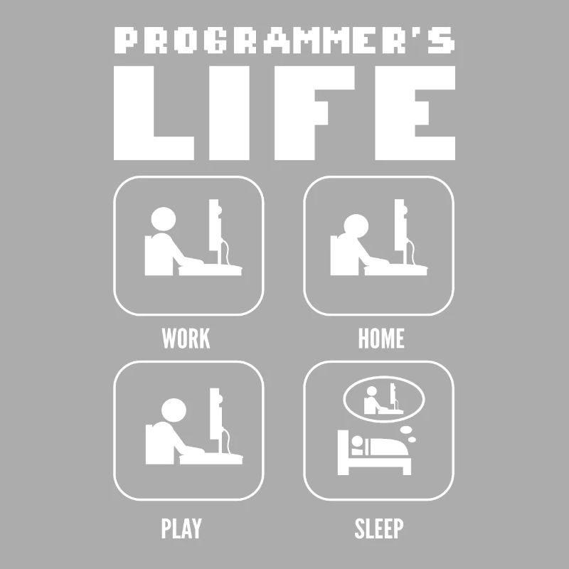Programmers Life. Work Home Play Sleep Programming