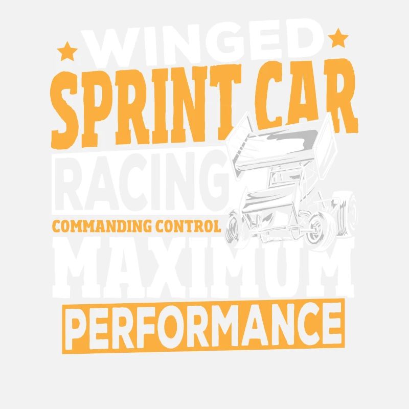 Performance contrôlable de course de voitures de vitesse ailées