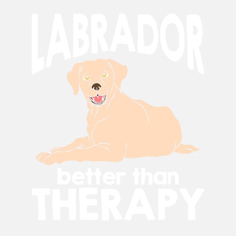 Labrador Chien Labrador Retriever