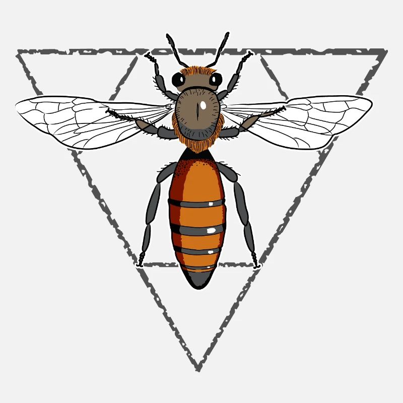 Queen Bee Bee Honey Bee Bee Beekeeper Honeycomb 1