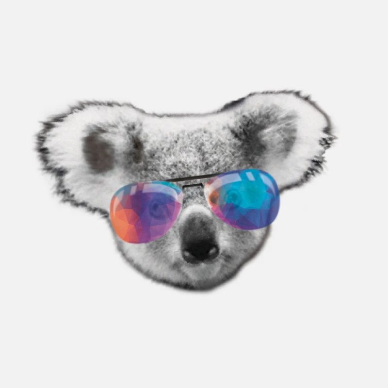 koala schwaz tête blanche