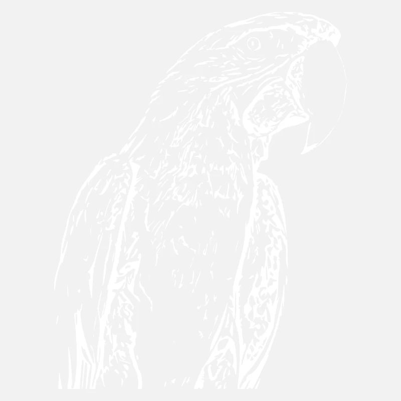 Perroquets Oiseau Blanc