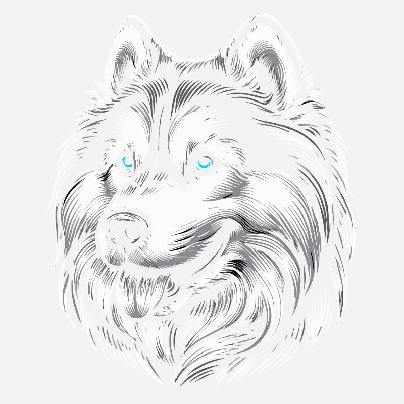 Siberian husky