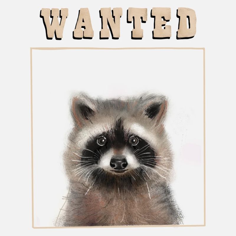 Racoon