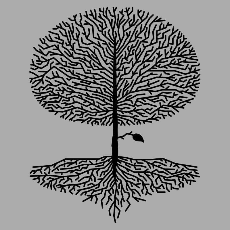 Deciduous Tree Crown Branches Forest Oaks Beech Nature Climate