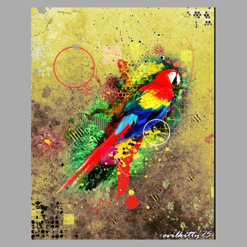 Vogel-Graffiti