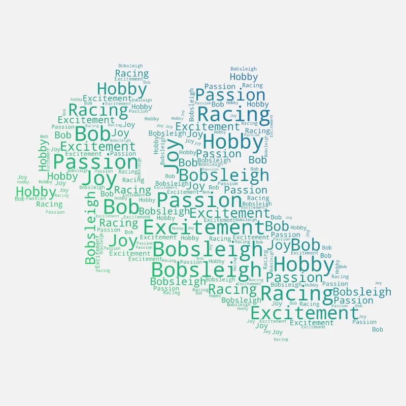 Men's Bobsleigh Track Bob Riding Women's Two-man Bobsleigh
