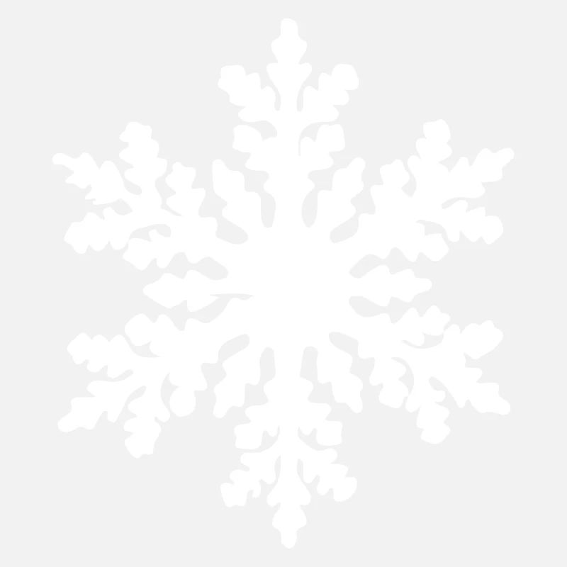 flocon de neige 2