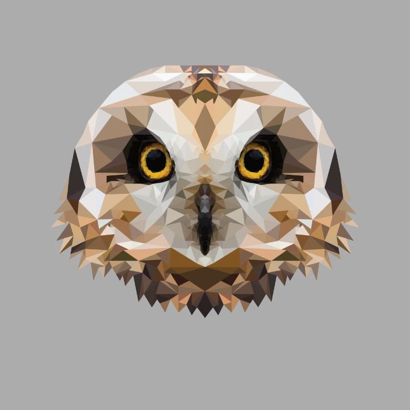 Polygon Sumpfohreule, Eule, Polygon, Tier, Vogel
