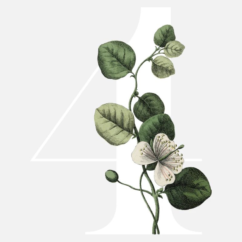 Numéro 4 floral vert -4e anniversaire floral