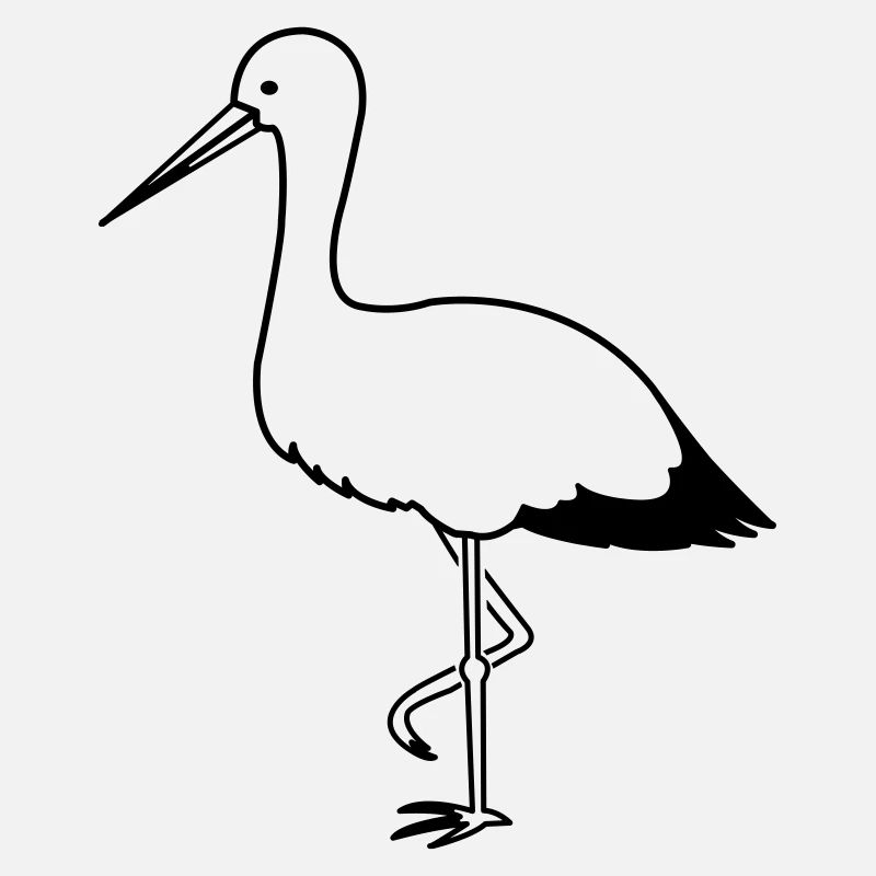 storch_1