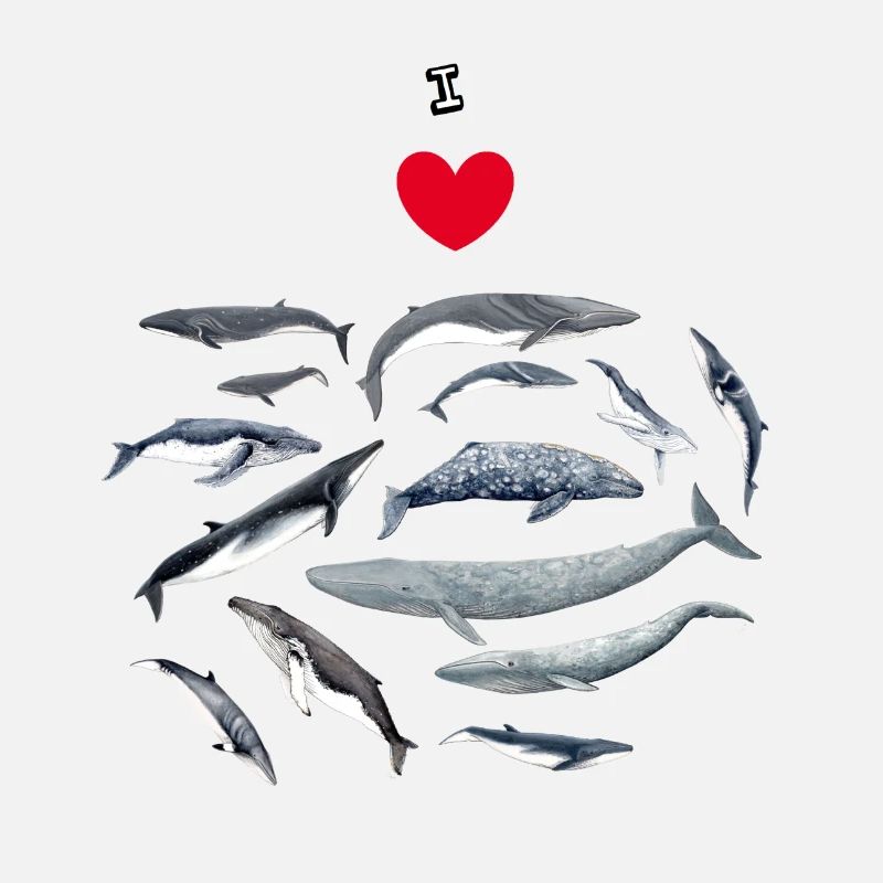 Les baleines aiment - J'adore les baleines - Baleines