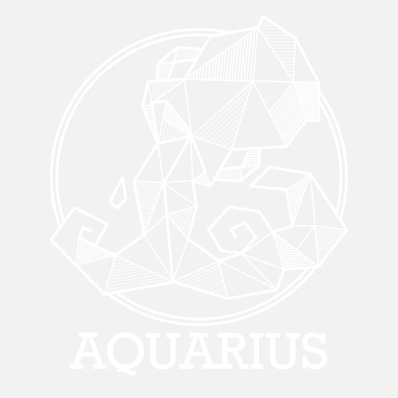 Zodiac Aquarius Gift geo Aquarius