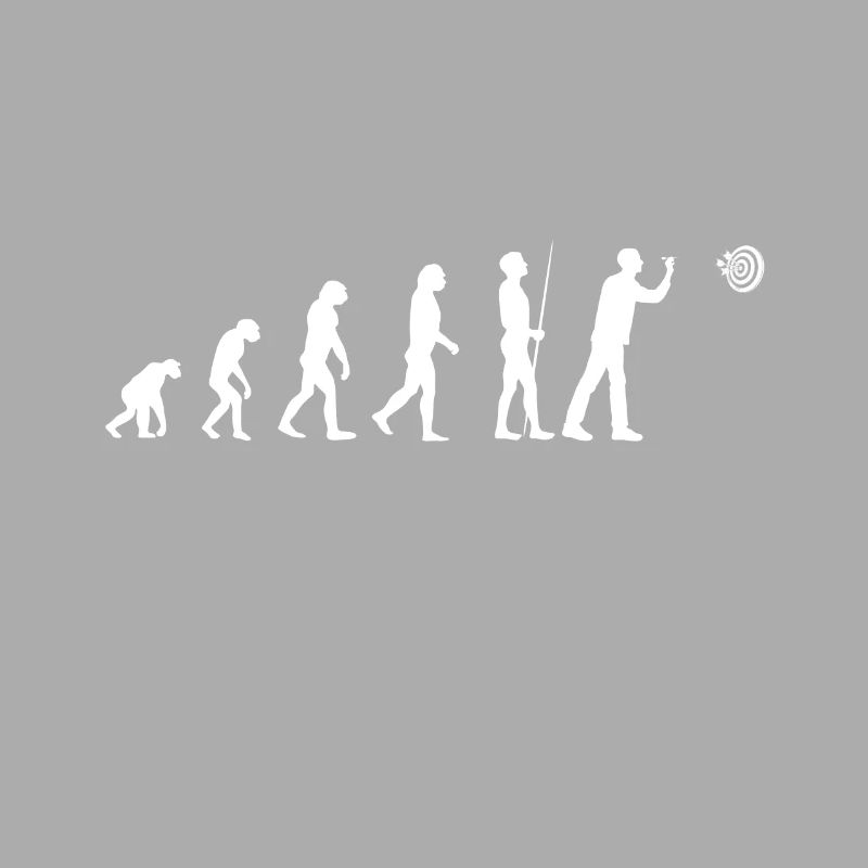 Darts Evolution Dartboard Dartpfeil Darten