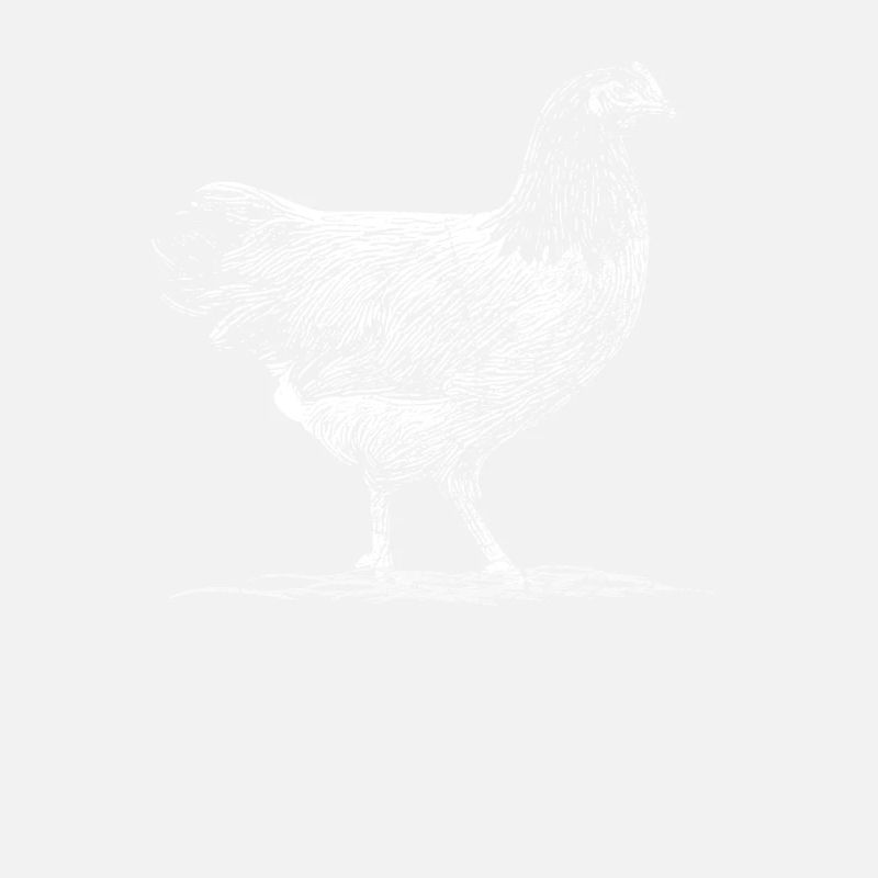Dessin poulets à prédateurs Idée de cadeau
