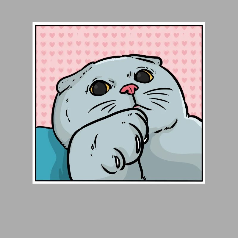 Foldex Katze