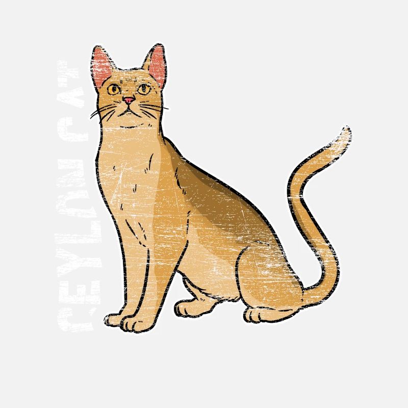 Cadeau de chat de Ceylan