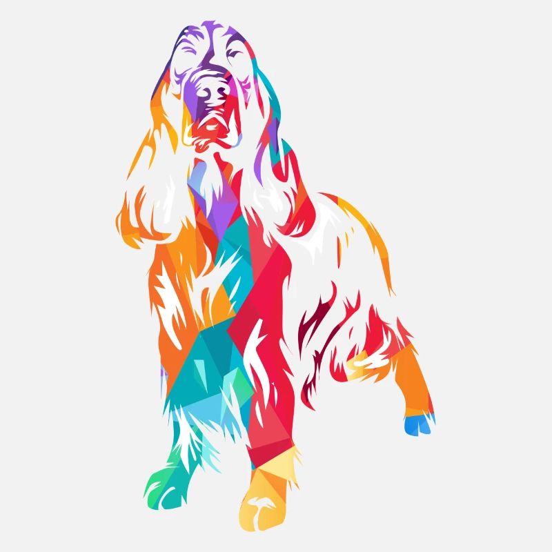 Anglais Springer Spaniel