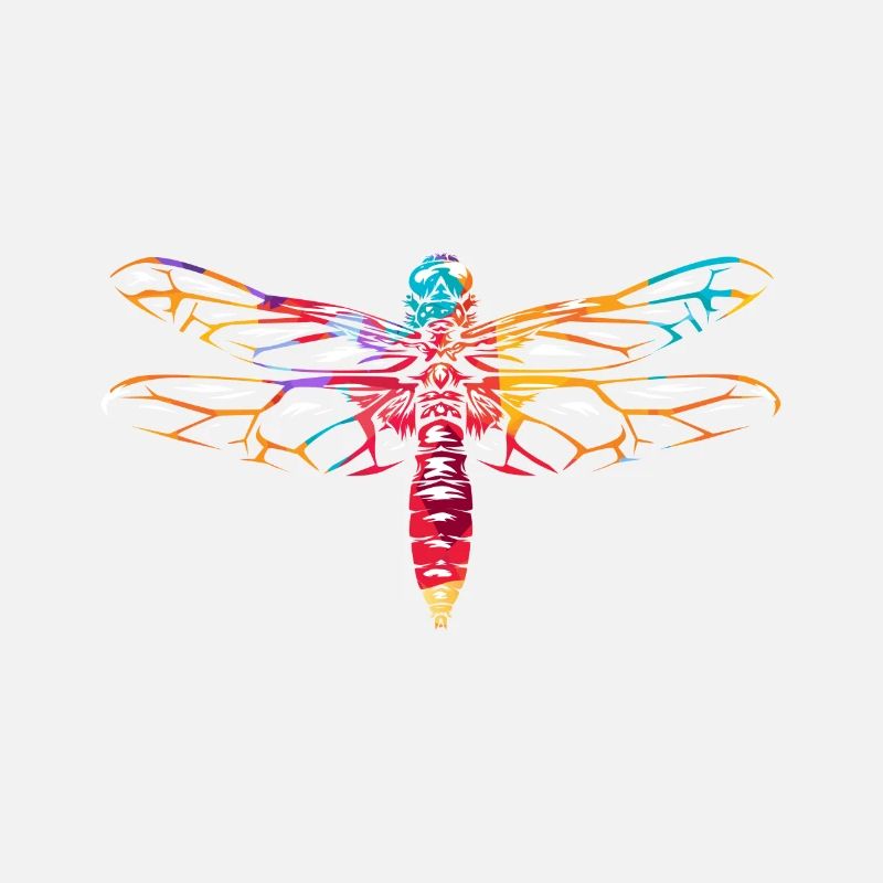 Libellules Odonata libellule