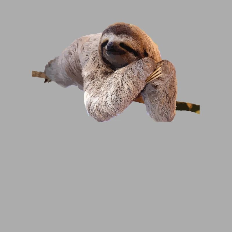 Faultier Sloth Geschenk Idee