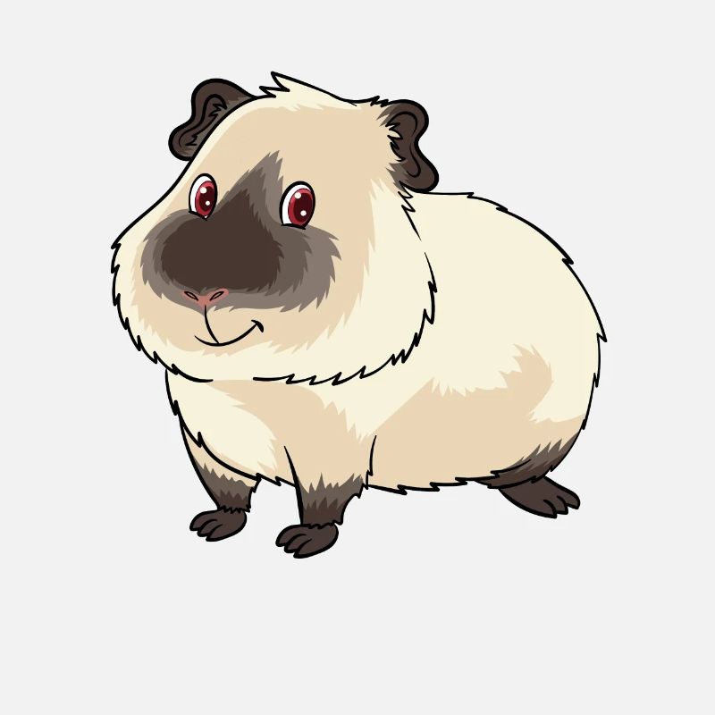 Mignon propriétaire de cochon d'Inde de l'Himalaya et
