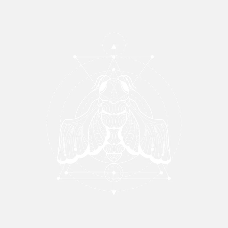 Occult Cicada - Sacred Geometry