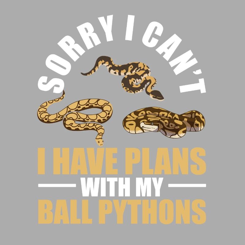 Plans With My King Python Snake Boa