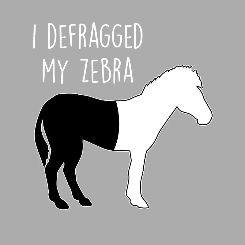 I defragged my Zebra Coder Informatiker Hacker