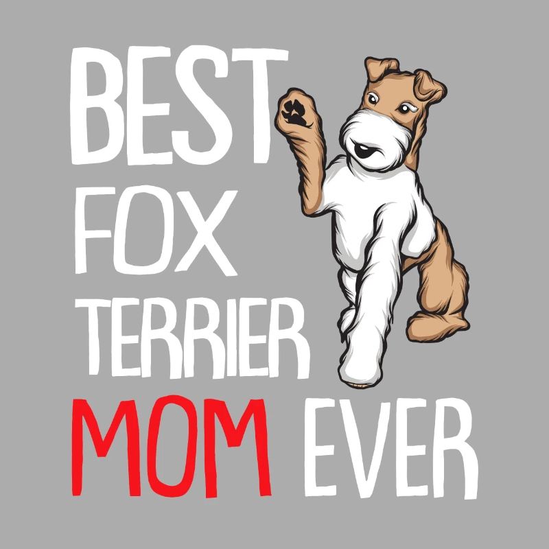 Foxterrier Drahthaar | Foxterrier