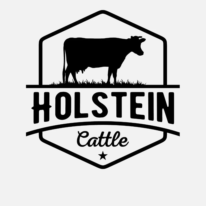 Holstein Rancher Vache Holstein