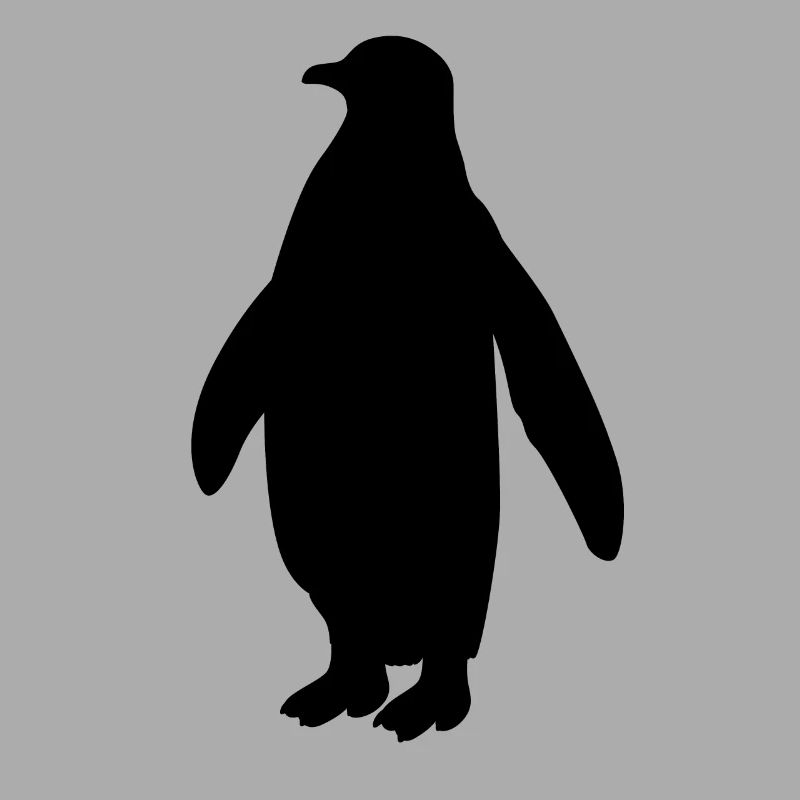Pinguin Seevogel Meeresvogel Vogel Geschenk