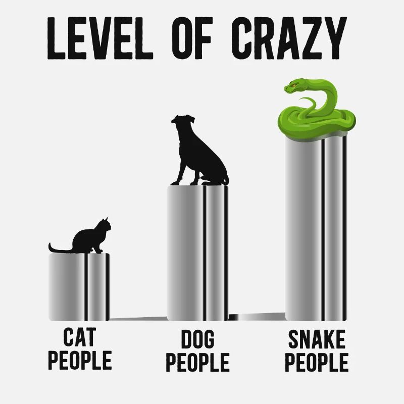 Serpent Serpent Niveau De Chat Fou