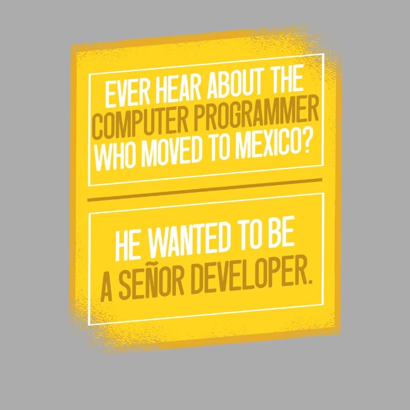 Programmer Coder Software Developer