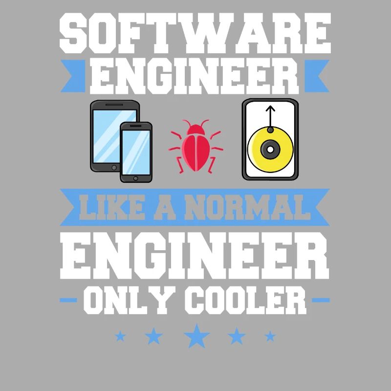 Software Engineering Softwaretechnik Ingenieur