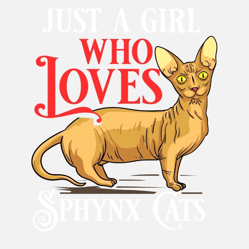 Sphynx Chat Sphinx Chaton sans poils Egypte
