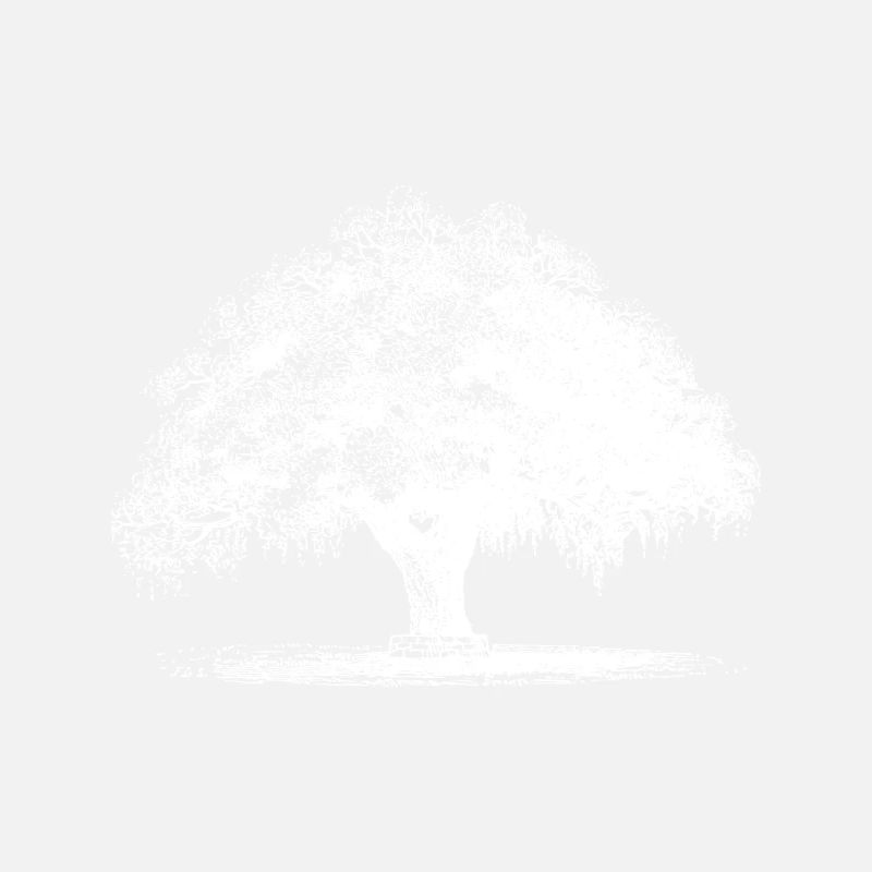 Arbre
