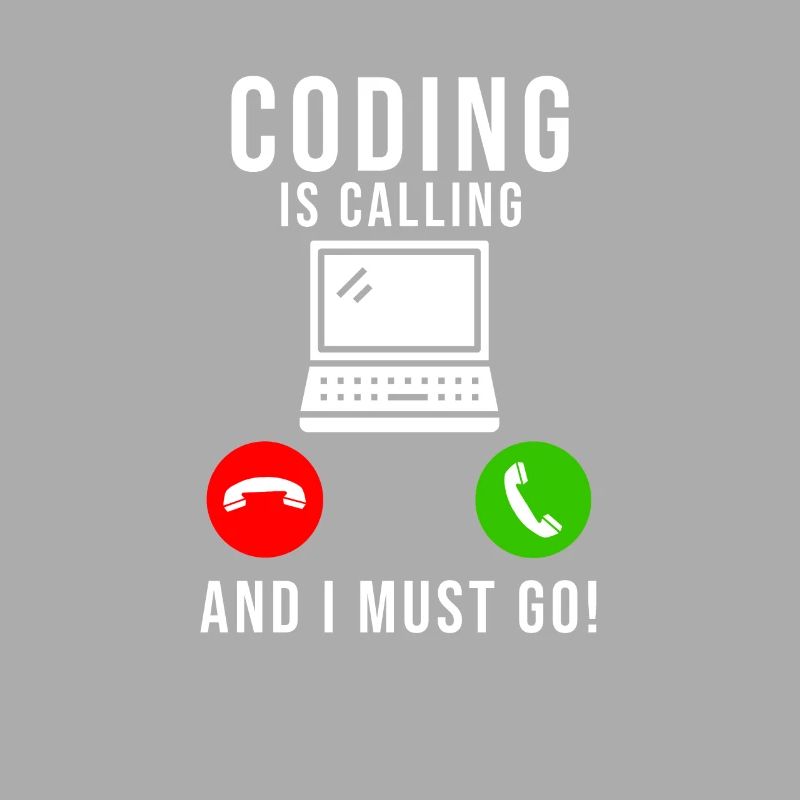 Programmeur Codage Développeur Informatique