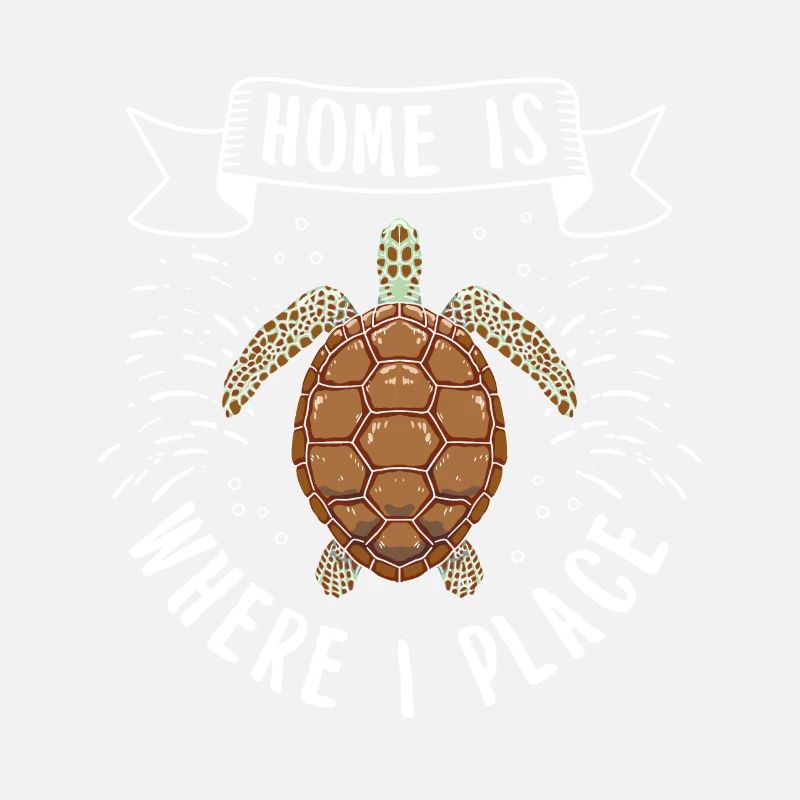Turtle Relaxed Chill Sea Ocean Beach
