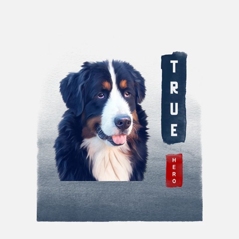 Berner Sennenhund True Hero