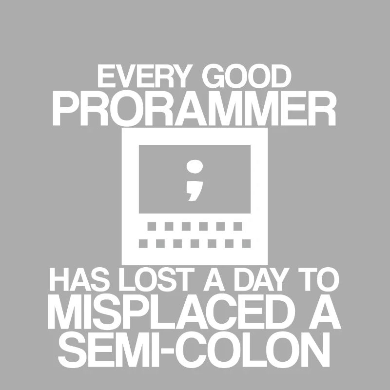 Every Programmer Has Lost A Day To A Semi-Colon 2
